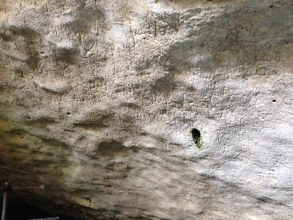 Parete della Grotta della Poesia a Roca Vecchia, Melendugno (Lecce). 